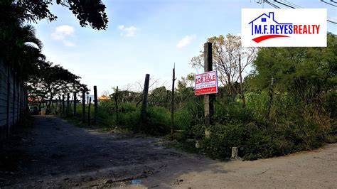 house and lot for sale in pampanga|farm lot for sale pampanga.